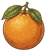 Pomarańcza